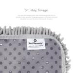 Forager Slow Feeder Dog Bowl & Snuffle Mat
