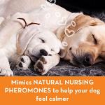 ThunderEase Dog Calming Pheromone Diffuser Refill