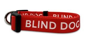 Blind Dog Collar - "I Am Blind" Message (Red, L)