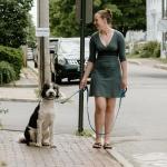 Fida Heavy Duty Dog Leash with Padded Handles