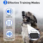 Vibrating Dog Training Collar with Remote Control