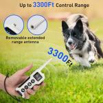 Vibrating Dog Training Collar with Remote Control