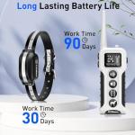 Vibrating Dog Training Collar with Remote Control