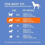 Disposable Dog Diapers for Female Dogs, 30 Count