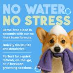 TropiClean Hypoallergenic Waterless Dog Shampoo