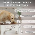 Elevated Dog Bowl Stand with Storage for Small Dogs