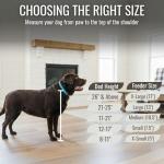 Elevated Dog Bowl Stand with Storage for Small Dogs