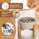 Elevated Ceramic Cat Bowl with Bamboo Stand