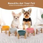 Elevated Ceramic Cat Bowl with Bamboo Stand