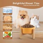 Elevated Ceramic Cat Bowl with Bamboo Stand