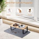 Tilted Elevated Cat Bowls with Food Mat