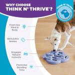 Outward Hound Hide N' Slide Interactive Treat Toy