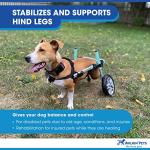 Lightweight Dog Wheelchair for Small Dogs