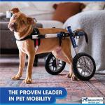 Lightweight Dog Wheelchair for Small Dogs