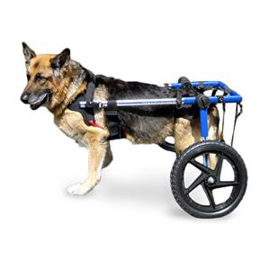Veterinarian Approved Dog Wheelchair for Large Dogs