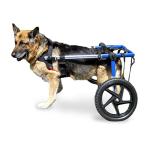 Veterinarian Approved Dog Wheelchair for Large Dogs