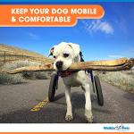 Veterinarian Approved Dog Wheelchair for Large Dogs