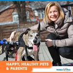 Veterinarian Approved Dog Wheelchair for Large Dogs