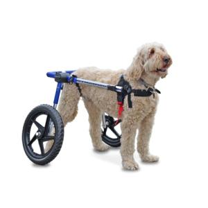 Walkin' Wheels Dog Wheelchair for Medium/Large Dogs