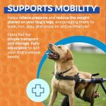 Walkin' Wheels Dog Wheelchair for Medium/Large Dogs