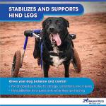 Walkin' Wheels Dog Wheelchair for Medium/Large Dogs