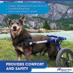 Walkin' Wheels Dog Wheelchair for Medium/Large Dogs