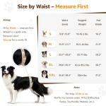 Adjustable Dog Lift Harness for Large Dogs