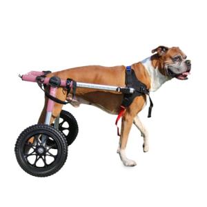 Dog Wheelchair for Medium/Large Dogs - Vet Approved