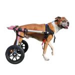 Dog Wheelchair for Medium/Large Dogs - Vet Approved