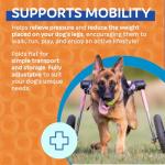 Dog Wheelchair for Medium/Large Dogs - Vet Approved