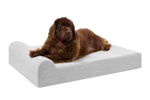 Barker Beds XL Memory Foam Dog Bed for Joint Pain