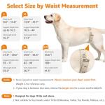 LOOBANI Dog Sling for Rear Leg Support