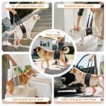 LOOBANI Dog Sling for Rear Leg Support