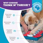 Outward Hound Dog Brick Interactive Treat Puzzle