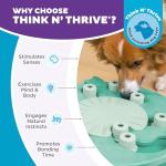 Outward Hound Dog Worker Advanced Treat Puzzle Toy