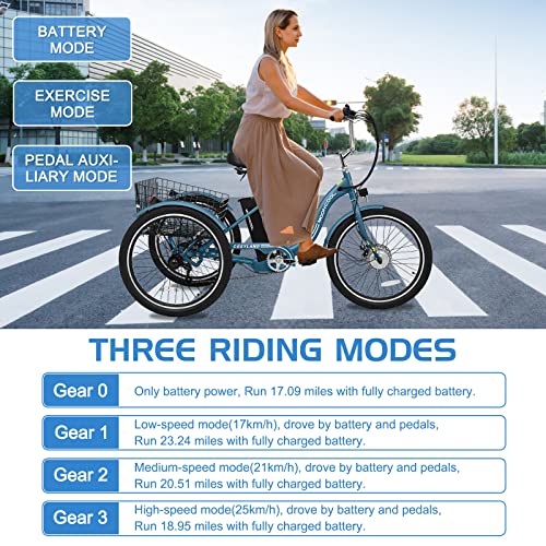 DoCred 350W Electric Tricycle for Adults with Basket