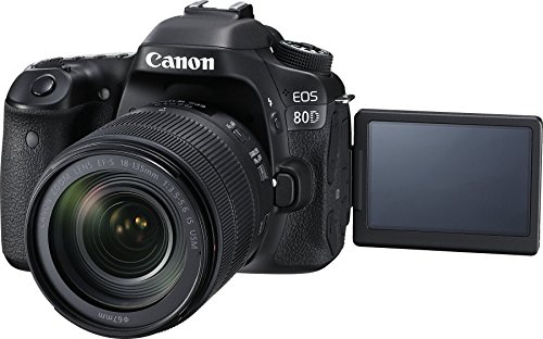 Canon EOS 80D Digital SLR Camera - Parent
