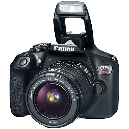 Canon EOS Rebel T6 Digital SLR Camera Kit with EF-S 18-55mm f/3.5-5.6 is II Lens (Black)