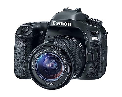 Canon Digital SLR Camera Body [EOS 80D] with EF-S 18-55mm f/3.5-5.6 Image Stabilization STM Lens with 24.2 Megapixel (APS-C) CMOS Sensor and Dual Pixel CMOS AF - Black