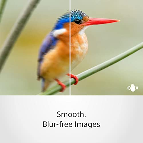 Sony 35mm f/1.8 Prime Fixed Lens