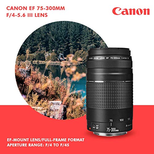 Canon T7 EOS Rebel DSLR Camera with 18-55mm and 75-300mm Lenses Kit + UV Filter Set + Tripods + Flash & 32GB Dual SD Card Accessory Bundle