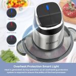 Ganiza 2-Speed Food Processor with Stainless Steel Bowls