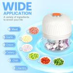 Portable Mini Electric Garlic and Veggie Chopper
