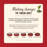 Lily’s Kitchen Organic Grain-Free Turkey Cat Food