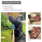2-Pack Eco-Friendly Bamboo Dog Toothbrushes