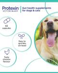 Cobalaplex Capsules for Cats and Dogs, 60 Count