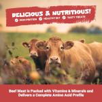 Purest Beef Strips Natural Dog Treats - 100g