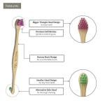 Pet Dental Care Kit for Small to Medium Pets