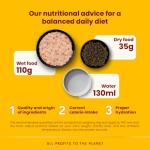 Almo Nature Biorganic Salmon Wet Food for Cats