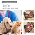 Pet Dental Care Kit for Small to Medium Pets